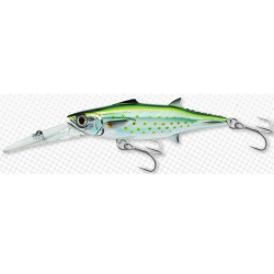 LIVE TARGET SPANISH MACKEREL