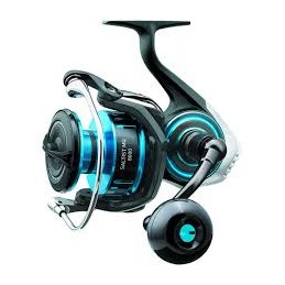 DAIWA SALTIST MQ D-H