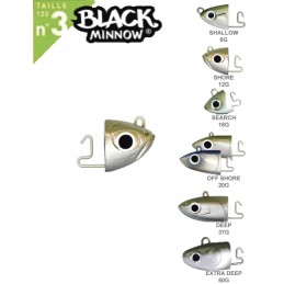 FIIISH BLACK MINNOW SHALLOW