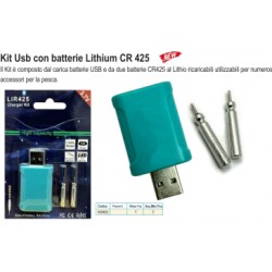 LITHIUM BATTERY USB CHARGER