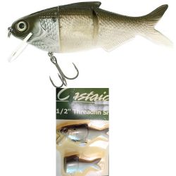 CASTAIC TREADFIN SHAD 3"2'